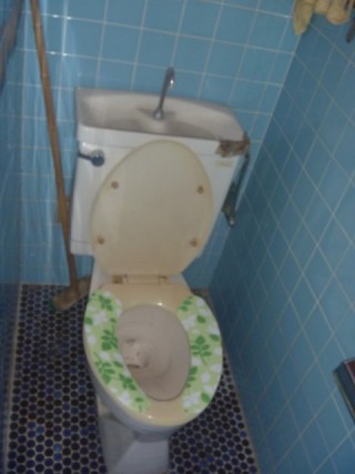 トイレも交換します。