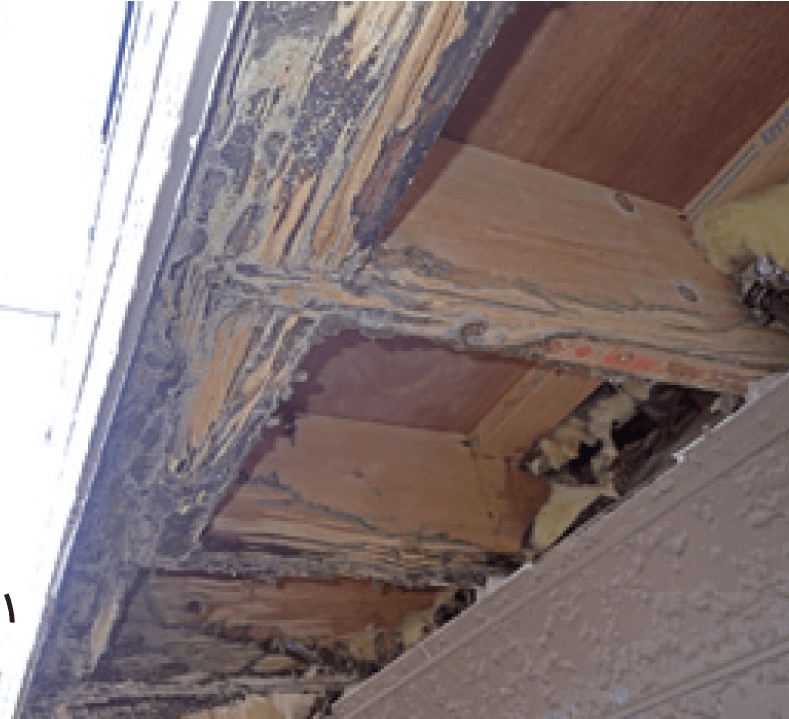 表面的には少しの修理で済むように見えても中を見ると、かなり痛みが進行している場合もあります